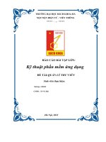 Báo cáo bài tập lớn kỹ thuật phần mềm ứng dụng đề tài quản lý thư viện