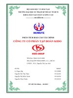 PHÂN TÍCH báo cáo tài CHÍNH CÔNG TY cổ PHẦN tập đoàn KIDO 