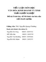 Tiểu luận Văn hóa kinh doanh và tinh thần khởi nghiệp: Trình bày về Mô hình văn hóa của một doanh nghiệp
