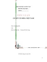 TIỂU LUẬN CƠ SỞ VĂN HÓA VIỆT NAM