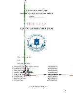 TIỂU LUẬN CƠ SỞ VĂN HÓA VIỆT NAM