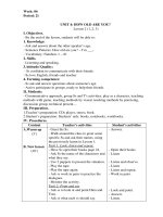 Giáo án môn Tiếng Anh lớp 3: Tuần 6 (Theo Công văn 2345 của Bộ GD&ĐT)