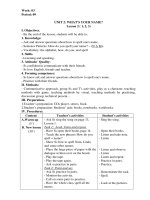 Giáo án môn Tiếng Anh lớp 3: Tuần 3 (Theo Công văn 2345 của Bộ GD&ĐT)