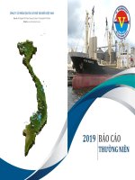 CÔNG TY CỔ PHẦN VẬN TẢI VÀ THUÊ TÀU BIỂN VIỆT NAM  BÁO CÁO THƯỜNG NIÊN 2019