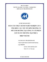 THNN1 các yếu tố môi trường vi mô ảnh hưởng đến công ty nhựa hiệp thành