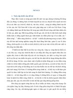 Tieu luan cao học, mon xu ly diem nóng chinh tri xa hoi