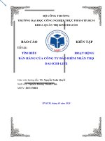 TÌM HIỂU HOẠT ĐỘNG BÁN HÀNG CỦA CÔNG TY BẢO HIỂM NHÂN THỌ DAI ICHI LIFE 