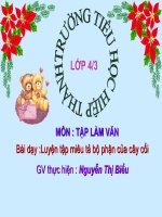 Tuan 2223 Luyen tap mieu ta cac bo phan cua cay coi