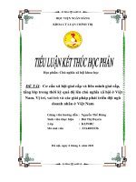 Cơ cấu xã hộigiai cấp và liên minh giai cấp, tầng lớp trong thời kỳ quá độ lên chủ nghĩa xã hội ở Việt Nam. Vị trí, vai trò và các giải pháp phát triển đội ngũ doanh nhân ở Việt Nam