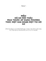 MẪU HỒ SƠ MỜI THẦU MUA THUỐC ÁP DỤNG PHƯƠNG THỨC MỘT GIAI ĐOẠN MỘT TÚI HỒSƠ