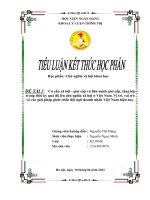 Cơ cấu xã hội  giai cấp và liên minh giai cấp, tầng lớp trong thời kỳ quá độ lên chủ nghĩa xã hội ở Việt Nam. Vị trí, vai trò và các giải pháp phát triển đội ngũ doanh nhân Việt Nam hiện nay.