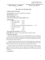 TRƯỜNG ĐH NGOẠI NGỮ - TIN HỌC TP.HCM KHOA KINH TẾ - TÀI CHÍNH ĐỀ CƢƠNG CHI TIẾT HỌC PHẦN Tên học phần: Kế toán quốc tế (International Accounting)