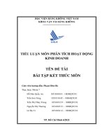 tiểu luận phân tích hoạt động kinh doanh  