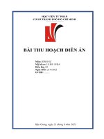 Bài thu hoạch hình sự Kiều Thanh Bình - Cố ý gây thương tích