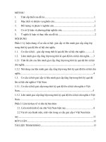 Cơ cấu xã hội – giai cấp và liên minh giai cấp, tầng lớp trong thời kỳ quá độ lên chủ nghĩa xã hội ở Việt Nam Liên hệ với vai trò của thanh niên, sinh viên trong giai đoạn hiện nay.