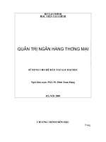 QUẢN TRỊ NGUỒN VỐN CỦA NGÂN HÀNG THƯƠNG MẠI
