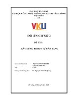 ĐỒ ÁN CƠ SỞ 3 ĐỀ TÀI: XÂY DỰNG ROBOT TỰ CÂN BẰNG. Giảng viên hướng dẫn: TS. Nguyễn Vũ Anh Quang
