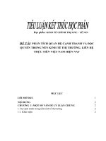 PHÂN TÍCH QUAN HỆ CẠNH TRANH VÀ ĐỘC QUYỀN TRONG NỀN KINH TẾ THỊ TRƯỜNG. LIÊN HỆ THỰC TIỄN VIỆT NAM HIỆN NAY