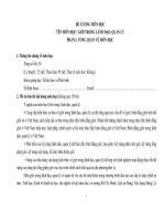 ĐỀ CƯƠNG MÔN HỌC TÊN MÔN HỌC: GIỚI TRONG LÃNH ĐẠO, QUẢN LÝ