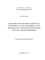 Hoàn thiện công tác phân tích báo cáo tài chính của các doanh nghiệp vay vốn tín dụng đầu tư tại ngân hàng phát triển việt nam   chi nhánh bình định 