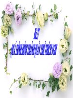 Bai 27 Qua trinh hinh thanh quan the thich nghi