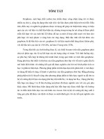 Phân tích dạng phá hủy hỗn hợp (MIXED MODE) của vật liệu graphene bằng phương pháp phần tử hữu hạn