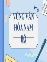 VÙNG VĂN HÓA NAM BỘ