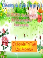 Phat trien Tinh cam Tham mi 5 tuoi