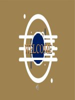 Quan điểm của Hồ Chí Minh về những nội dung công tác xây dựng Đảng. Tổ chức của bộ máy Đảng cộng sản Việt Nam hiện nay được phân cấp như thế nào, nội dung quan điểm mà xây dựng Đảng mà đại hội lần thứ XIII đưa ra là gì ?