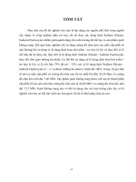 Nghiên cứu tính chất cơ học của gạch không nung sử dụng đá mi và chất kết dính geopolymer