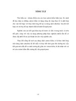 Nghiên cứu vai trò của cation kiềm đến cường độ của vữa geopolymer