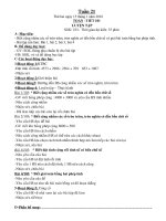 Gia giao an tuan 21 22 lop 33