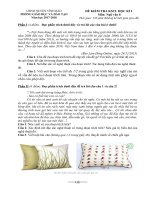 De khao sat chat luong phat trien nang luc hoc sinh