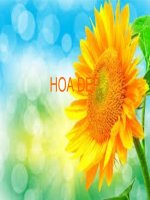 Tin hoc 9 Bai thuc hanh 8 Bo suu tap hoa