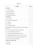 Một số biện pháp giúp trẻ 4 5 tuổi học tốt môn tạo hình