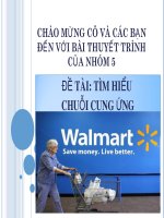 TÌM HIỂU CHUỖI CUNG ỨNG CỦA WALMART