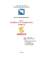Tiểu luận nghiên cứu marketing sabeco 