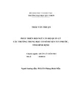 (Luận văn thạc sĩ) phát triển đội ngũ cán bộ quản lý các trường trung học cơ sở huyện tuy phước, tỉnh bình định 