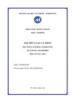 BÀI TIỂU LUẬN CÁ NHÂN HỌC PHẦN INTERNET MARKETING