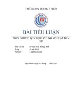BÀI TIỂU LUẬN LUẬT DÂN SỰ