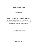 (Luận văn thạc sĩ) hoàn thiện công tác phân tích báo cáo tài chính của các doanh nghiệp vay vốn tín dụng đầu tư tại ngân hàng phát triển việt nam   chi nhánh bình định 