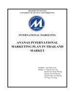 Tiểu luận ananas international marketing plan in thailand market 