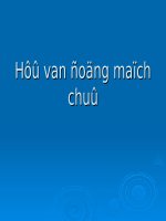 Bài giảng hở van động mạch chủ 
