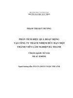 (Luận văn thạc sĩ) phân tích hiệu quả hoạt động tại công ty trách nhiệm hữu hạn một thành viên lâm nghiệp hà thanh 
