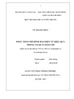 Phác thảo mô hình báo điện tử hiệu quả trong cơ quan báo chí (khảo sát các báo điện tửvtv vn  vov vn, vietnamplus vn laodong com vn ) 