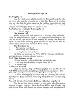 Đánh giá mức độ sao chép hMAM mRNA, survivin mRNA từ tế bào ung thư vú 