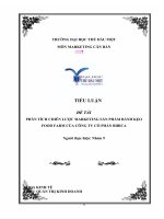 PHÂN TÍCH CHIẾN LƯỢC MARKETING SẢN PHẨM BÁNH KẸO FOOD FARM CỦA CÔNG TY CỔ PHẦN BIBICA