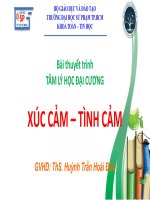 Bài thuyết trình TÂM LÝ HỌC đại CƯƠNG XÚC CẢM – TÌNH CẢM 