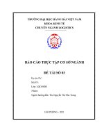 Báo cáo thực tập cơ sở ngành Logistics VMU