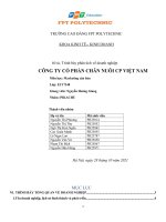 Trình bày phân tích về doanh nghiệp CÔNG TY CỔ PHẨN CHĂN NUÔI CP VIỆT NAM 